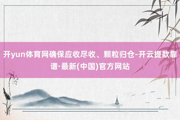 开yun体育网确保应收尽收、颗粒归仓-开云提款靠谱·最新(中国)官方网站