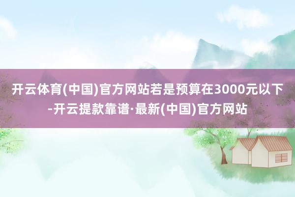 开云体育(中国)官方网站若是预算在3000元以下-开云提款靠谱·最新(中国)官方网站