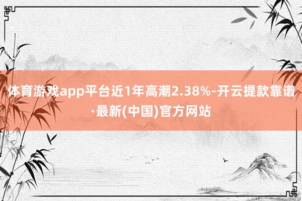 体育游戏app平台近1年高潮2.38%-开云提款靠谱·最新(中国)官方网站